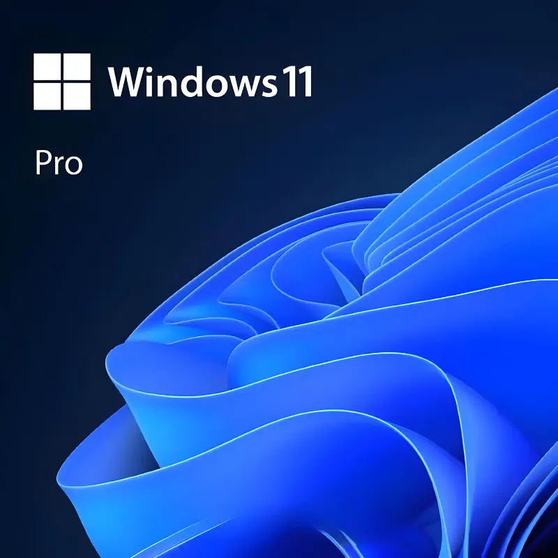 Windows 11 Pro