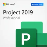 project professional 2019