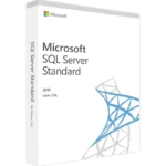 SQL Server 2019 Standard 1 User - License Key