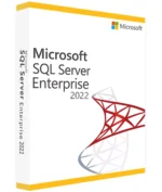 SQL Server 2022 Enterprise 1 User - License Key